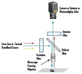 Giai photnics co. , ltd m.sanmartinocardiff.com