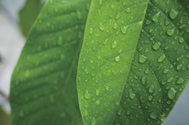 濾光片 同葉片加CPL濾鏡對(duì)比