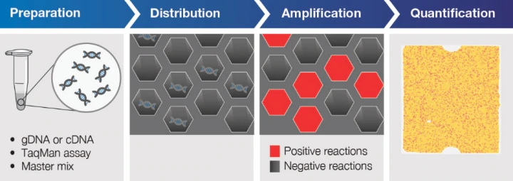 數(shù)字PCR技術(shù)原理 數(shù)字PCR技術(shù)原理