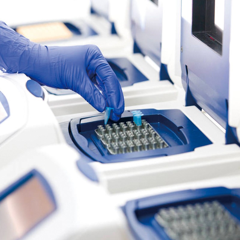 熒光定量PCR 熒光定量PCR