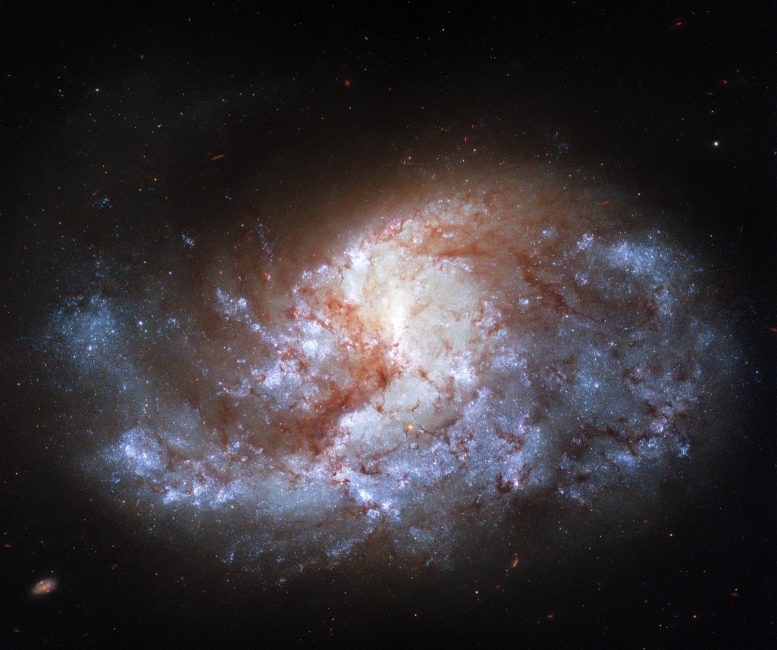棒旋星系NGC1385圖像2 棒旋星系NGC1385圖像2