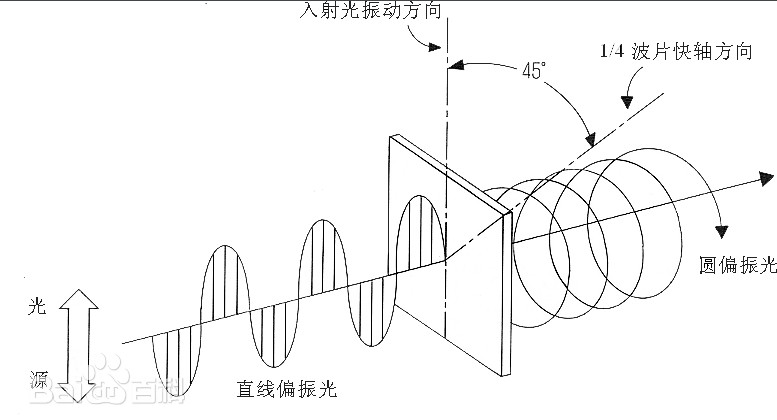 圓偏振和線偏振的區(qū)別 圓偏振和線偏振的區(qū)別