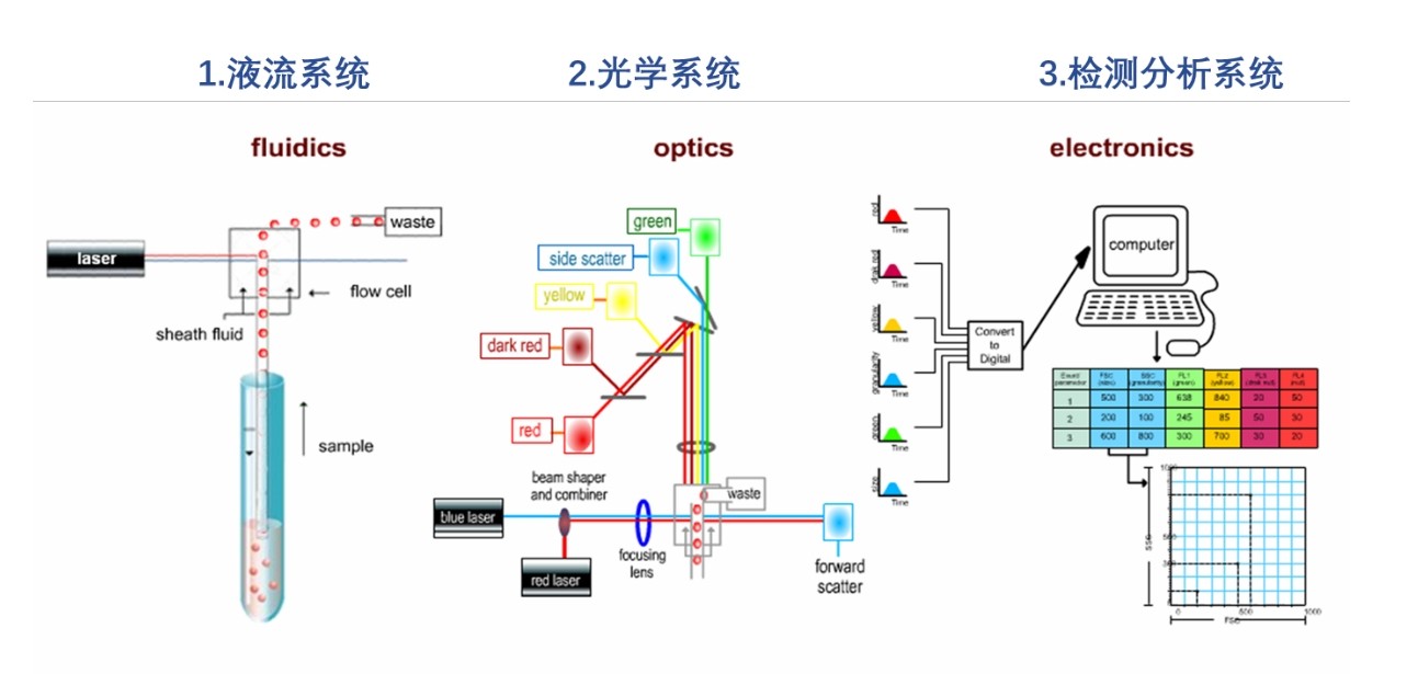 濾光片 流式細(xì)胞儀原理圖