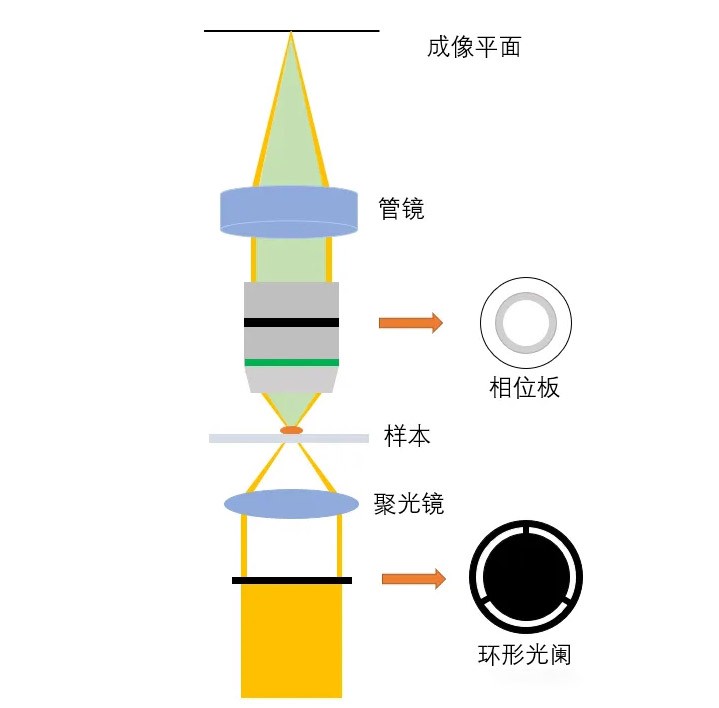 光學(xué)系統(tǒng)與工作原理 光學(xué)系統(tǒng)與工作原理