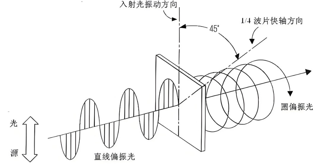 濾光片 光的偏振