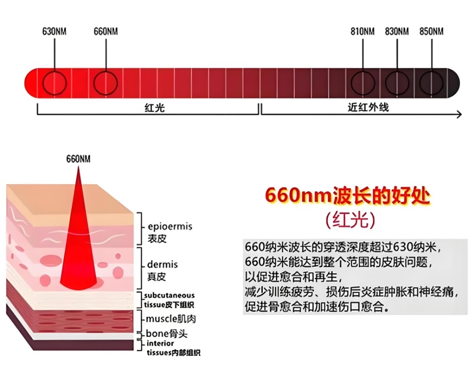 濾光片 660nm對人體皮膚的作用
