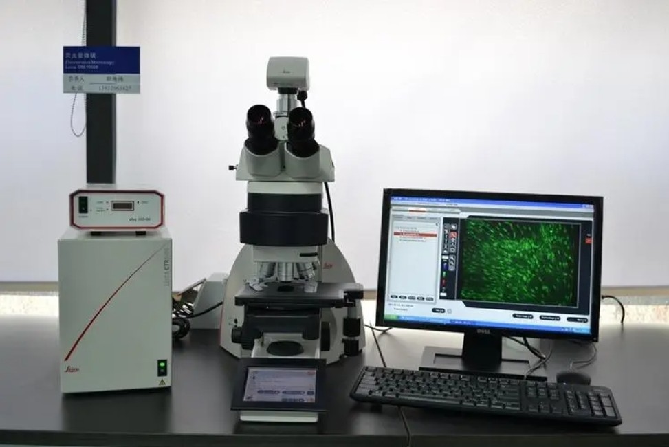 濾光片是如何決定顯微鏡成像性能的？