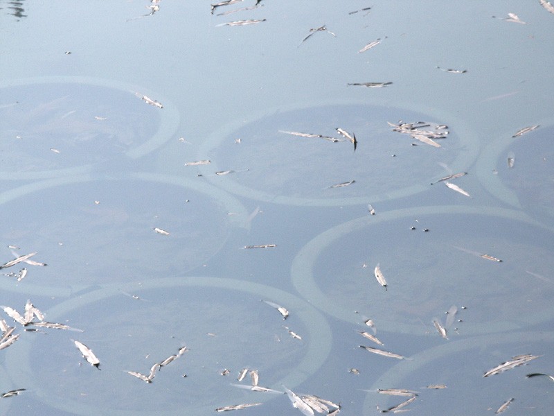 濾光片 偏振鏡光學原理和在機器視覺中的應(yīng)用