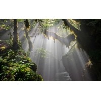 光的干涉、衍射、折射、反射、散射